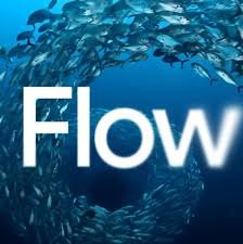 Google flow